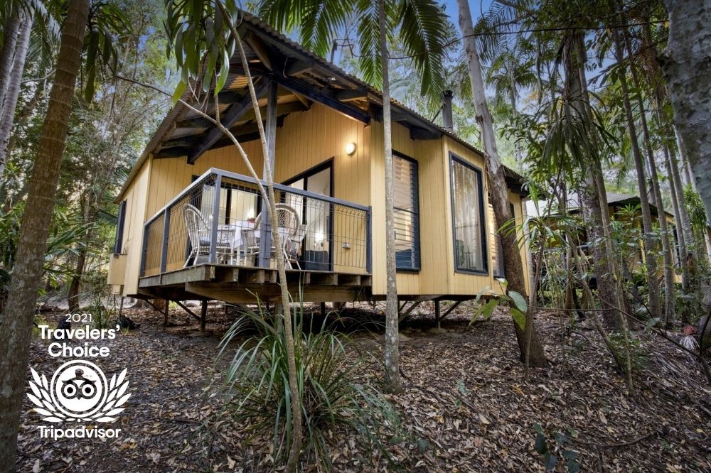 Tamborine Mountain Accommodation - Self-Contained Lodges