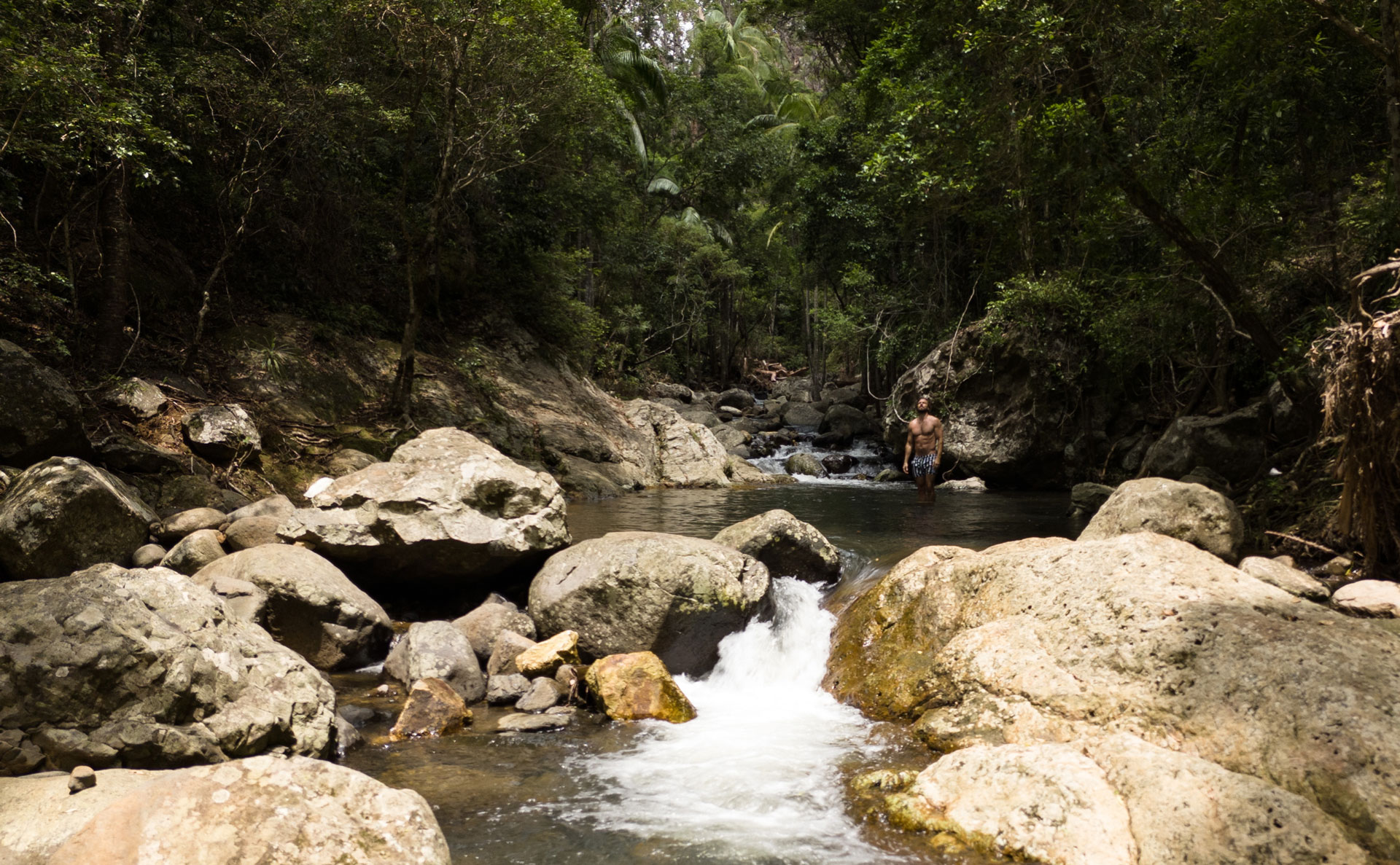 Banner background image (decoration only)