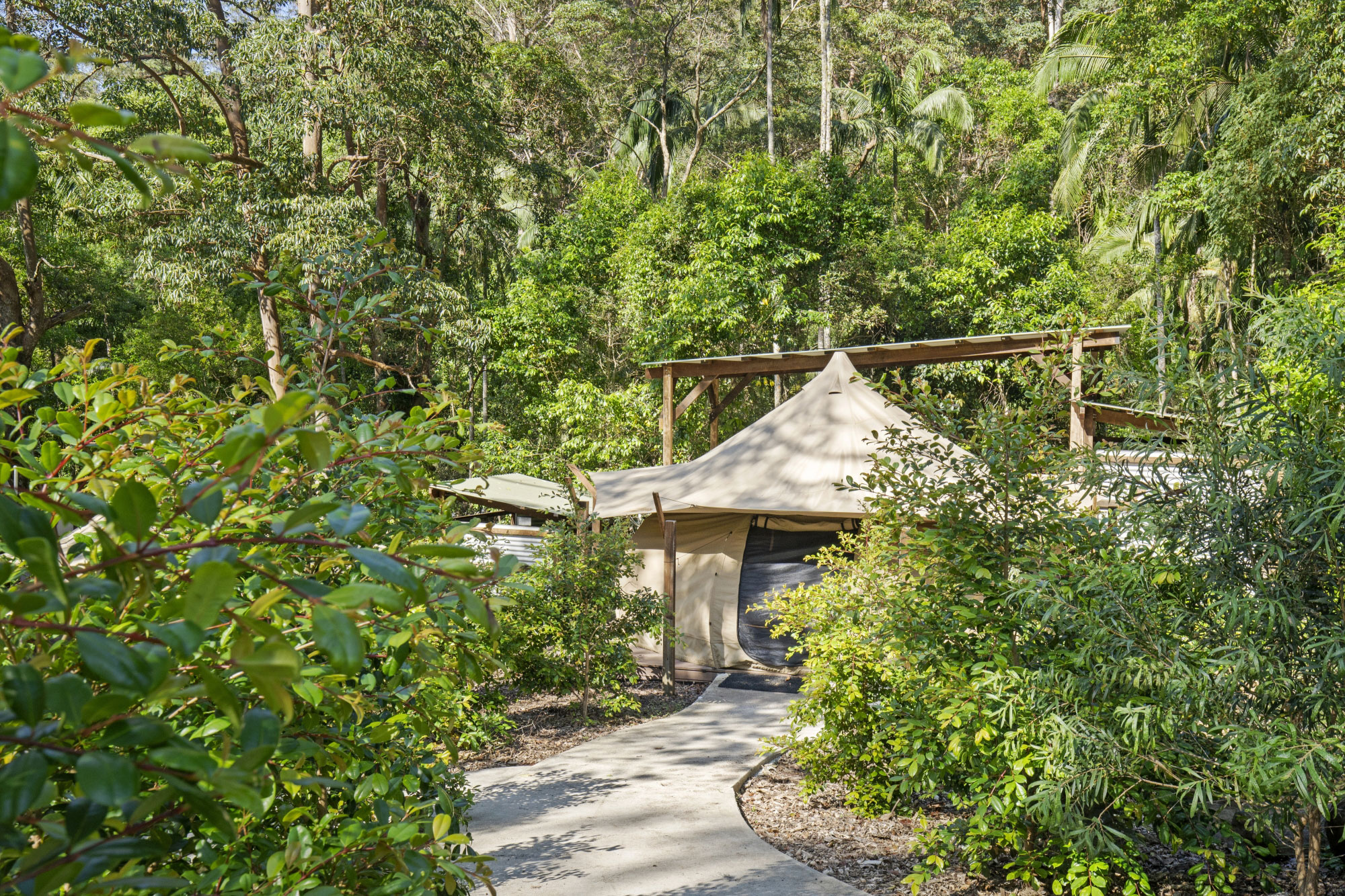 Banner background image (decoration only)