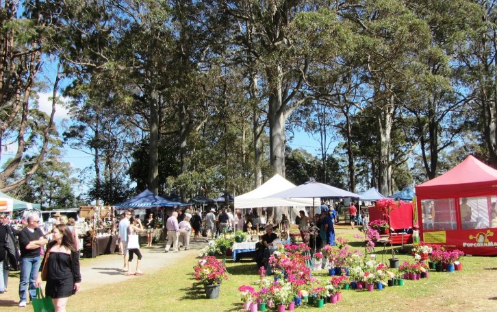 Mt Tamborine Attractions