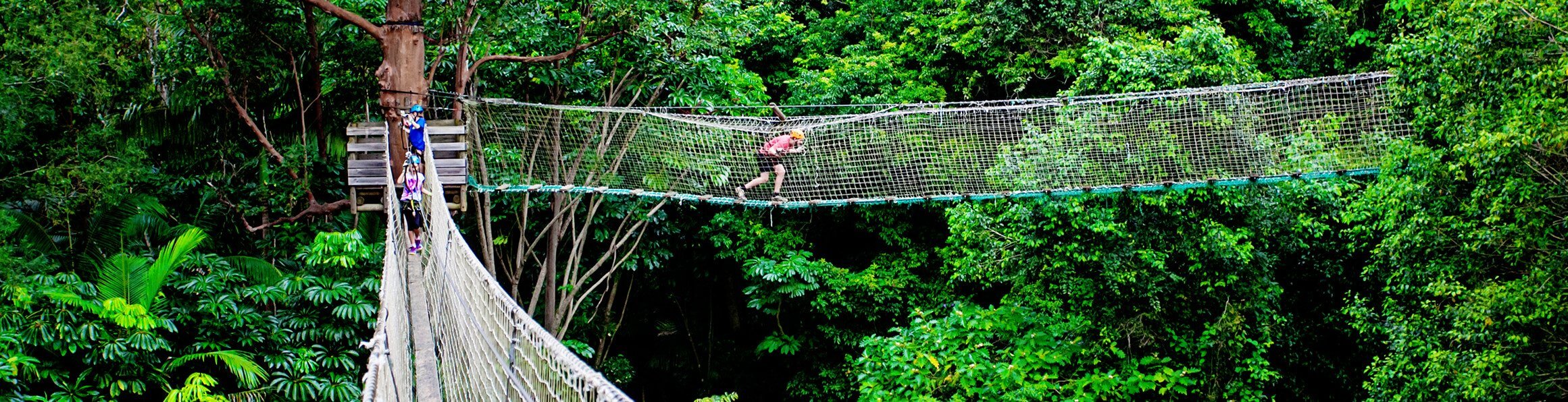 Banner background image (decoration only)