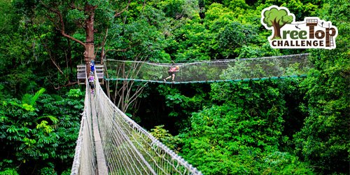 TreeTop Challenge Gold Award Winner